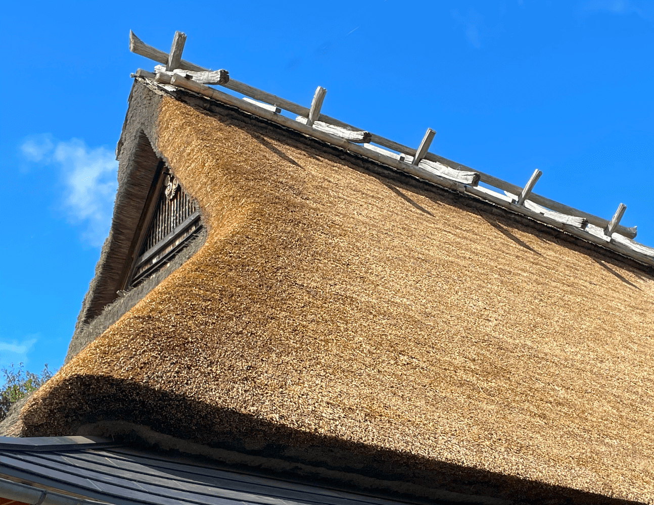 かやぶき屋根の古民家「徳平庵」本館