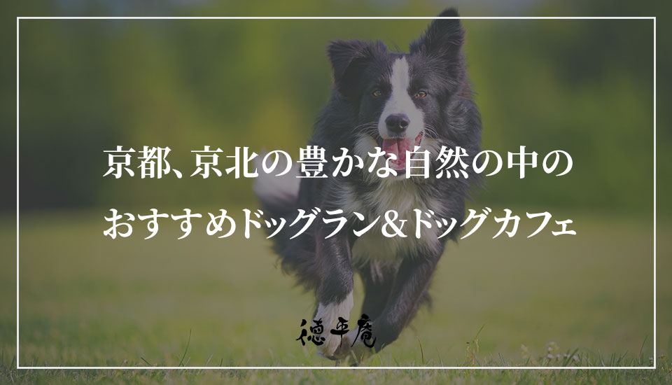 京都、京北の豊かな自然の中のおすすめドッグラン&ドッグカフェ｜京都の農家民宿【徳平庵】かやぶき屋根の古民家一棟貸し