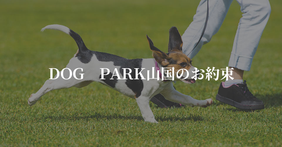 ＤＯＧ　ＰＡＲＫ山国のお約束