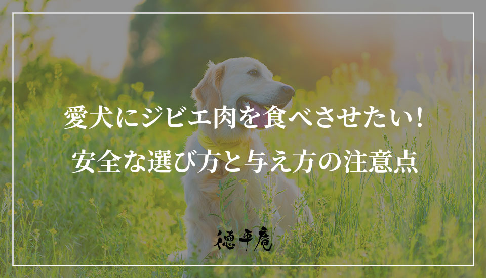 愛犬にジビエ肉を食べさせたい！安全な選び方と与え方の5つの注意点｜京都の農家民宿【徳平庵】かやぶき屋根の古民家一棟貸し