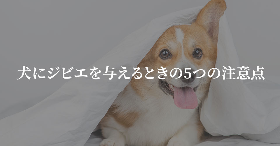 犬にジビエを与えるときの5つの注意点
｜京都の農家民宿【徳平庵】かやぶき屋根の古民家一棟貸し