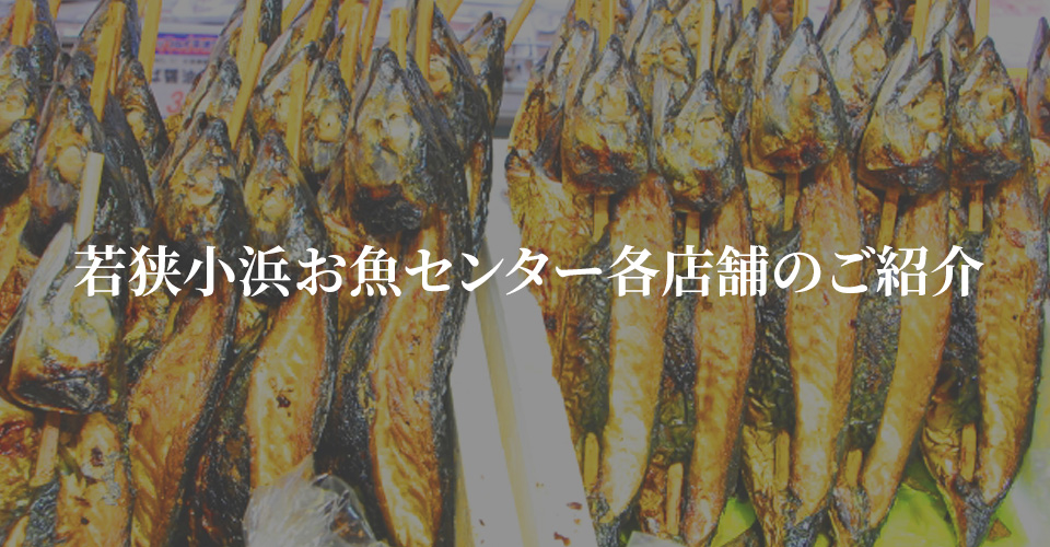 若狭小浜お魚センター各店舗のご紹介